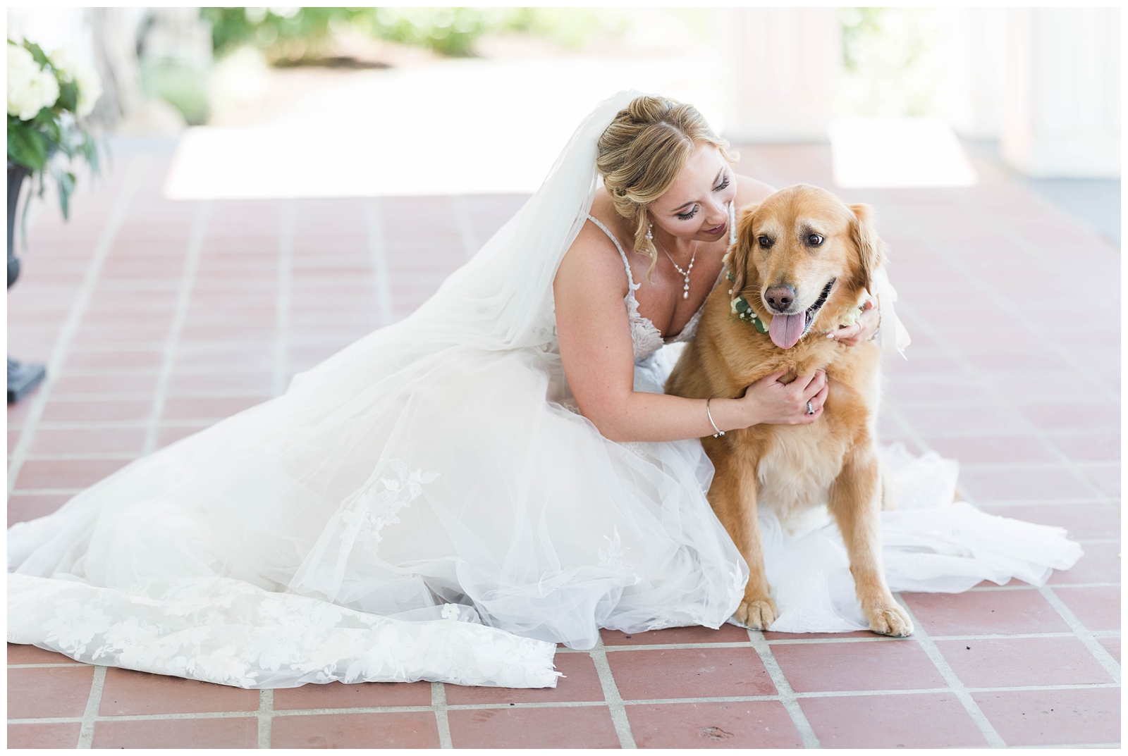 Bride with dog photos