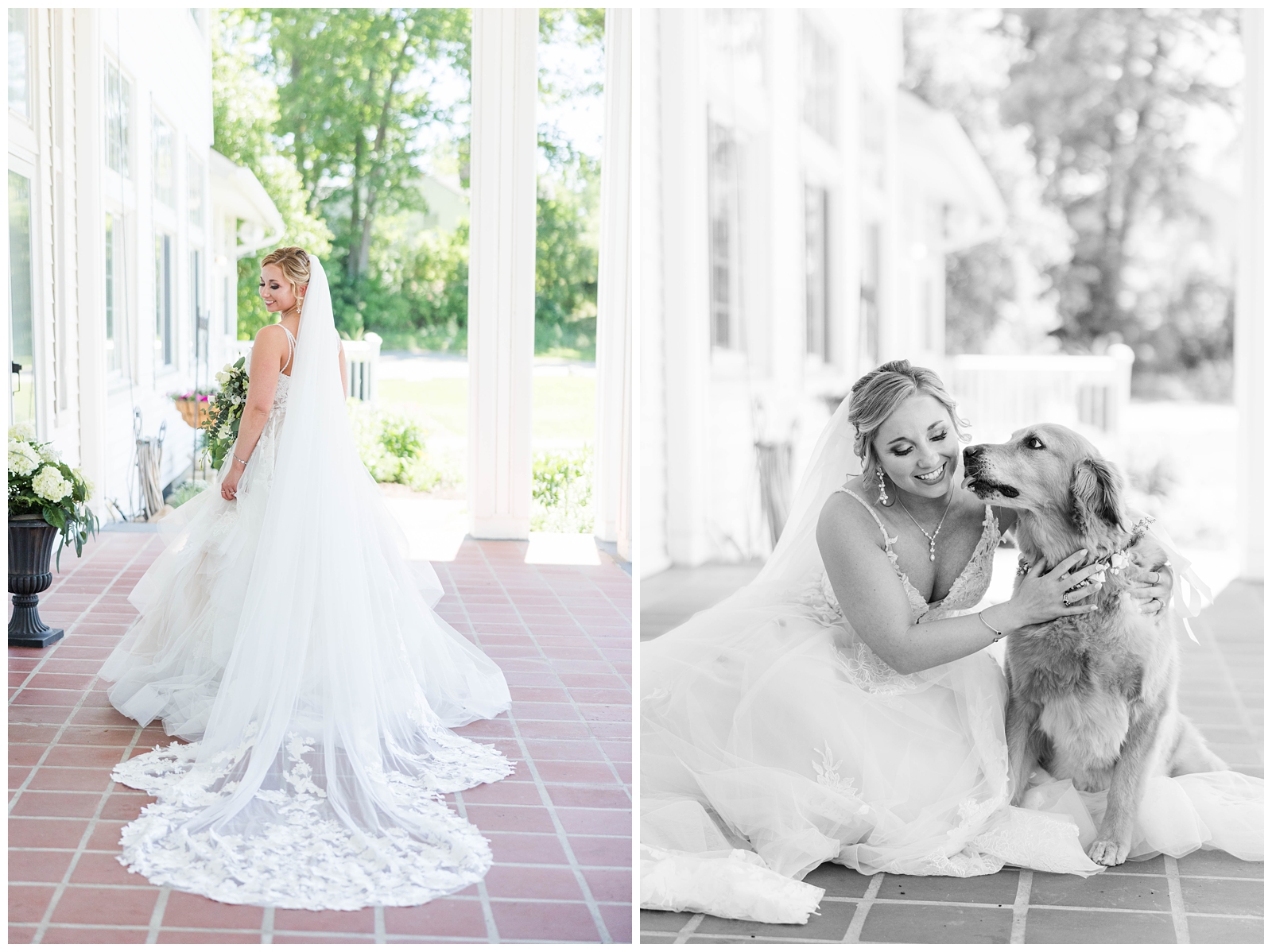 Bride with dog photos
